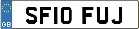 Trailer License Plate